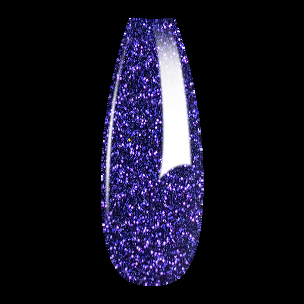 sns cosmetics French Glitter Nail Art - Dark Purple Colors - FG12