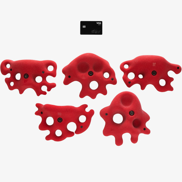 so ill Fungus Large 2