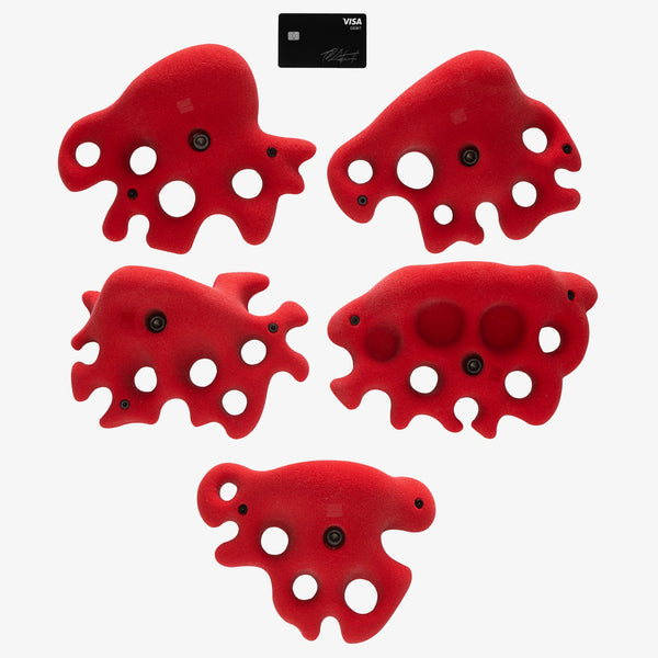 so ill Fungus Large 3