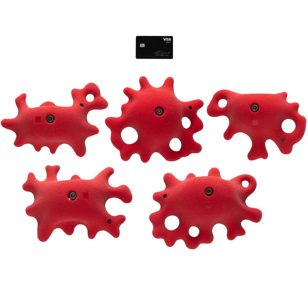 So Ill Fungus Large 4