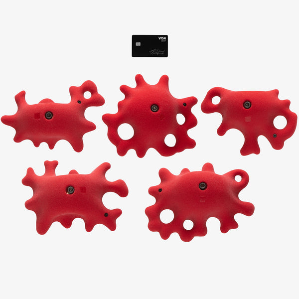 so ill Fungus Large 4