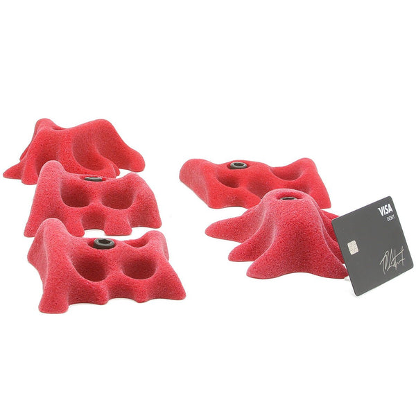 So Ill Fungus Medium 2