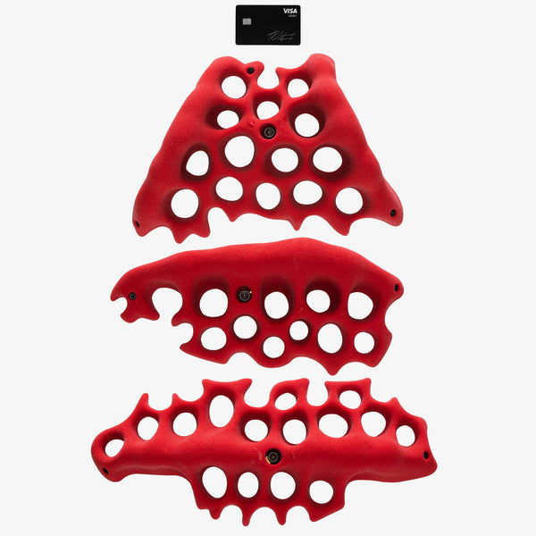 so ill Fungus Super 2