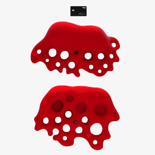 so ill Fungus Super 6