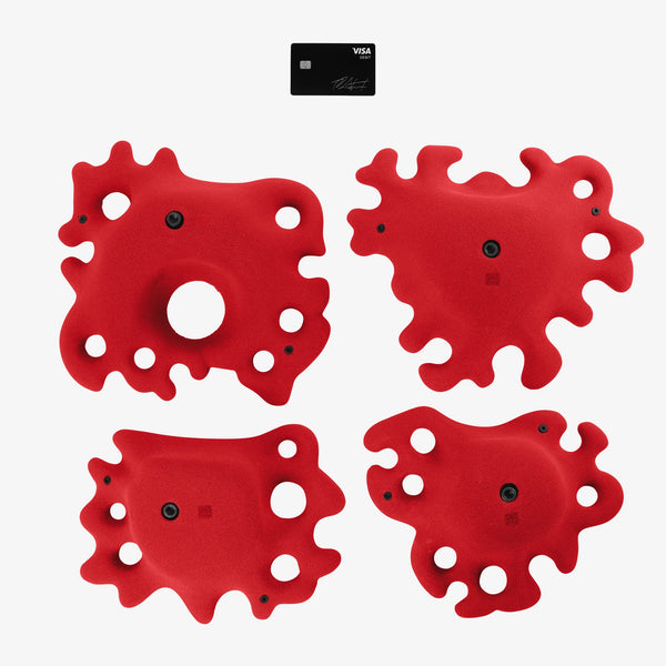 so ill Fungus X-Large 2