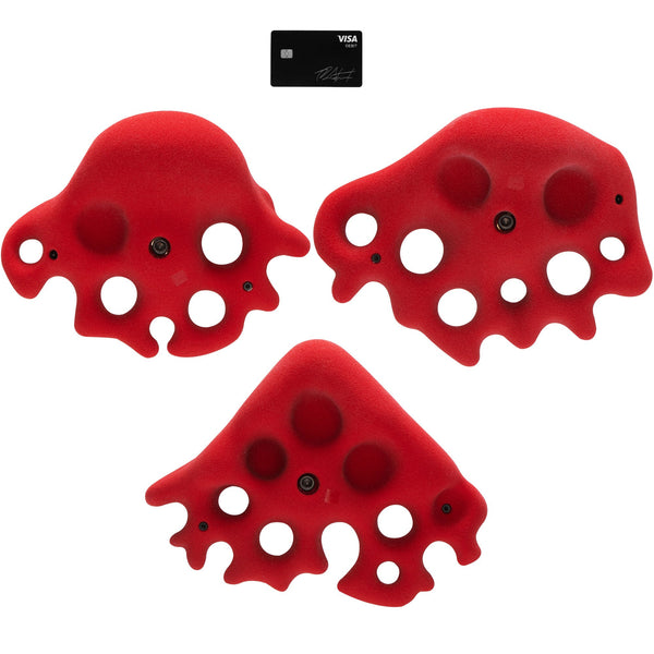 So Ill Fungus X-Large 3