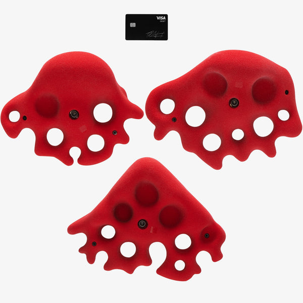 so ill Fungus X-Large 3