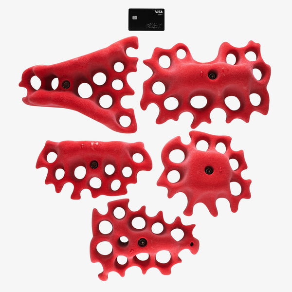 so ill Fungus X-Large