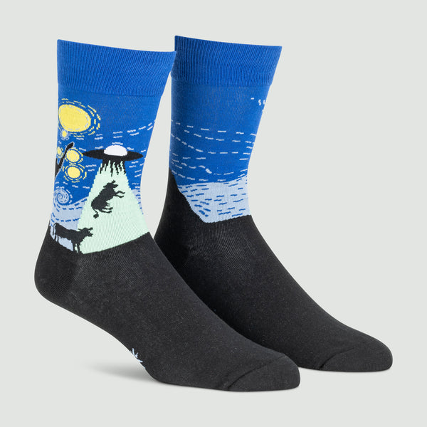 Sock It To Me The Starry Flight Crew Socks