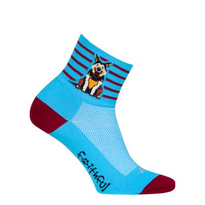 Sockguy Companion Socks