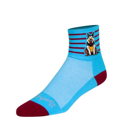Sockguy Companion Socks