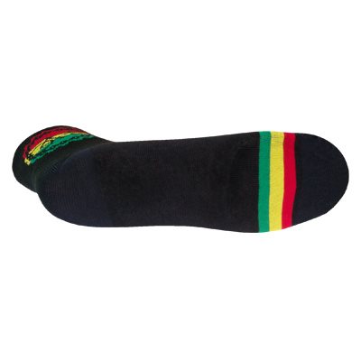 Sockguy Rasta Ride