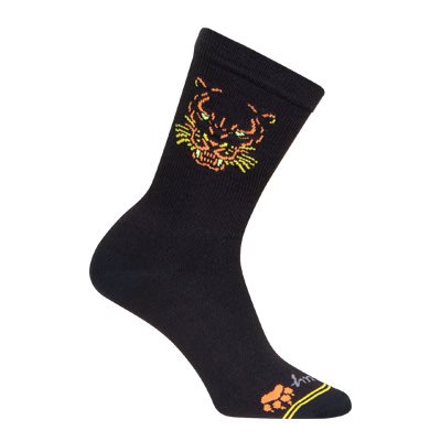 Sockguy Regal Socks