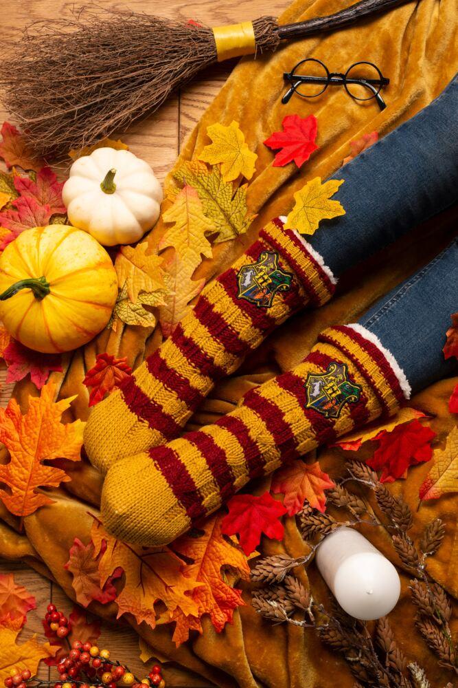 Sockshop Film & TV CharactersMens & Womens Harry Potter Chunky Cable Lined Slipper Socks With Grips