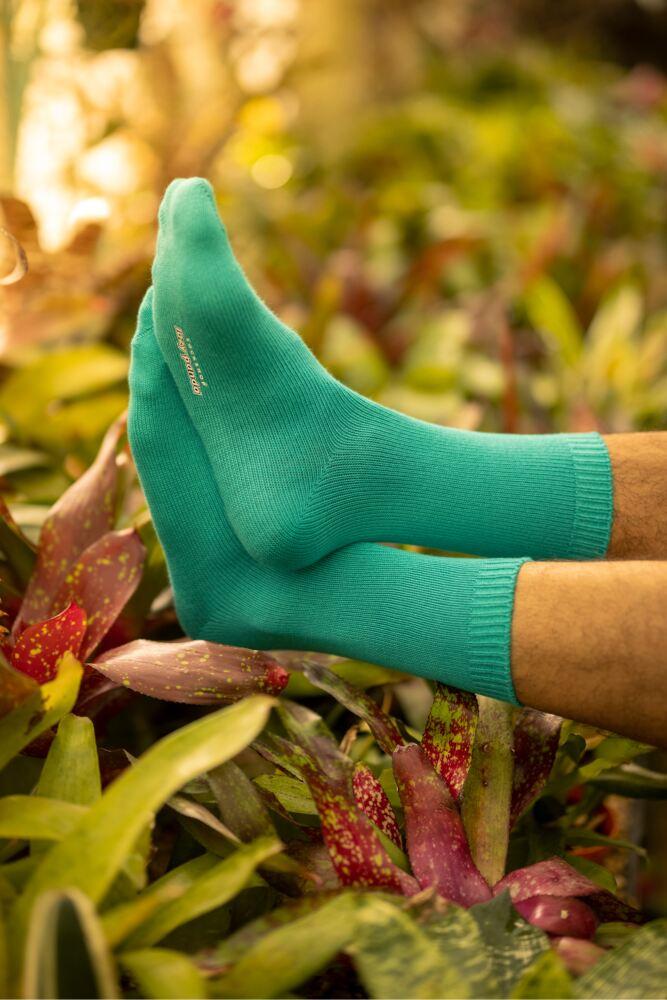 Sockshop Lazy PandaMens Bamboo Colour Burst Leisure Weight Socks