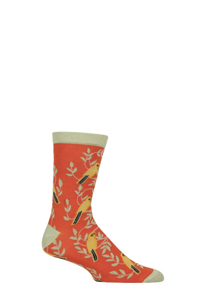 Sockshop Shared EarthMens & Womens Fair Trade Bamboo Indian Inspired Socks