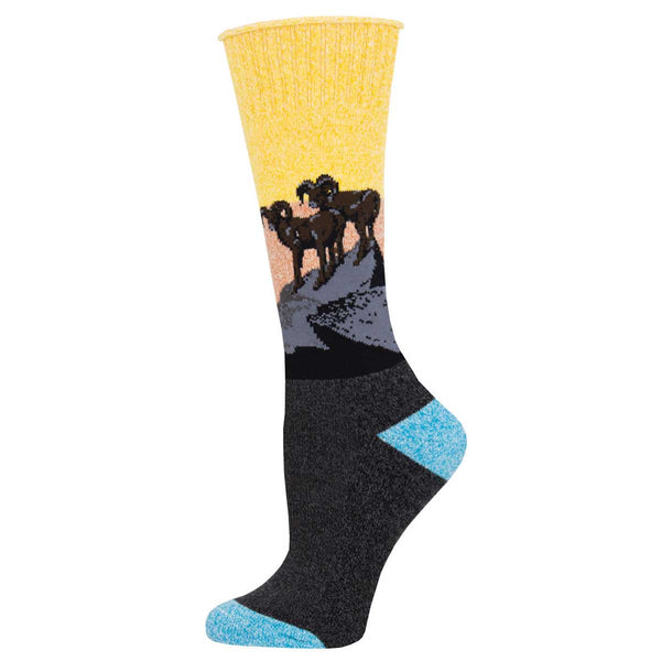 socksmith Recycled Cotton Rambunctious