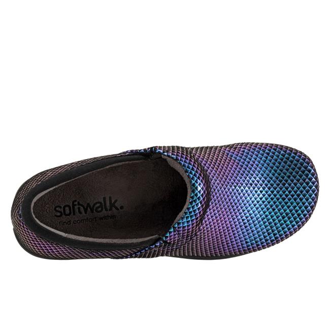 softwalk Meredith Sport SoftWalk Professional Iridescent