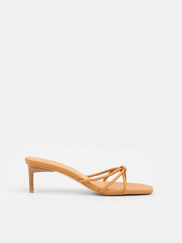 sol sana Cielo Mule Biscuit