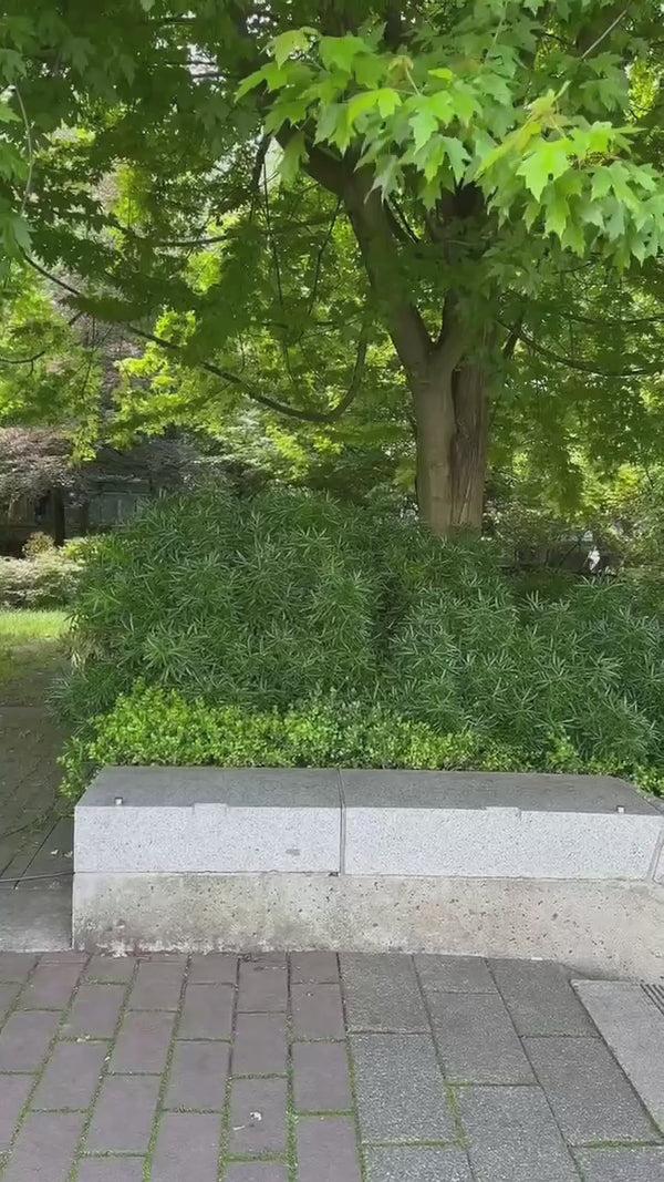 Solo New York Re:discover Backpack