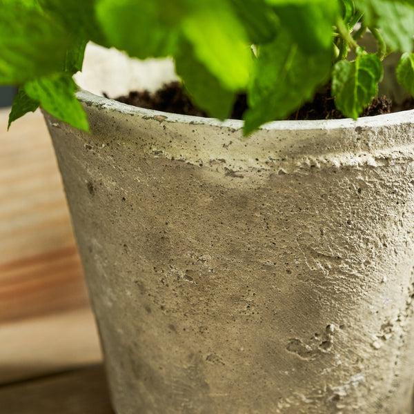 Sophie Allport Aged Stone Terracotta Pot