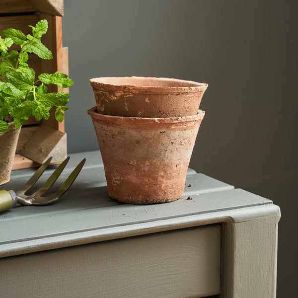 Sophie Allport Aged Terracotta Pot