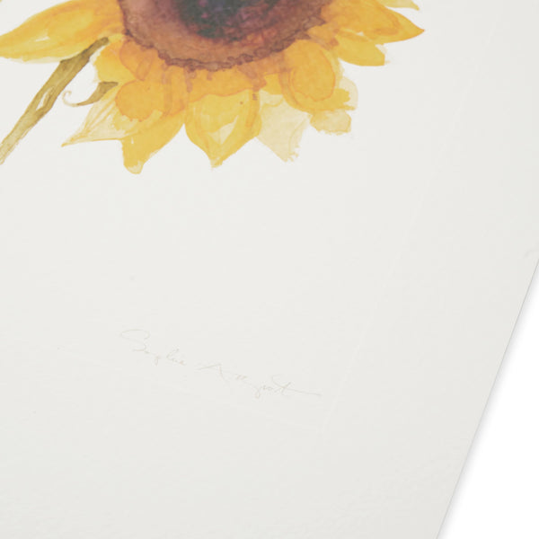 Sophie Allport Archive Multi Sunflower Print