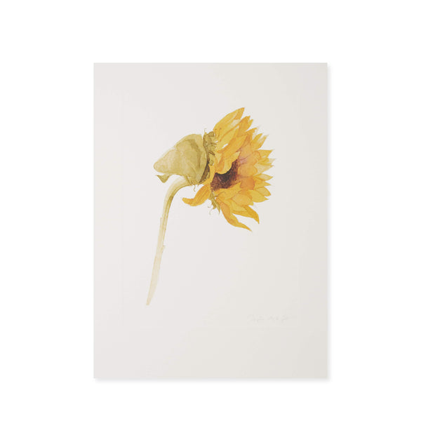 Sophie Allport Archive Sunflower Print