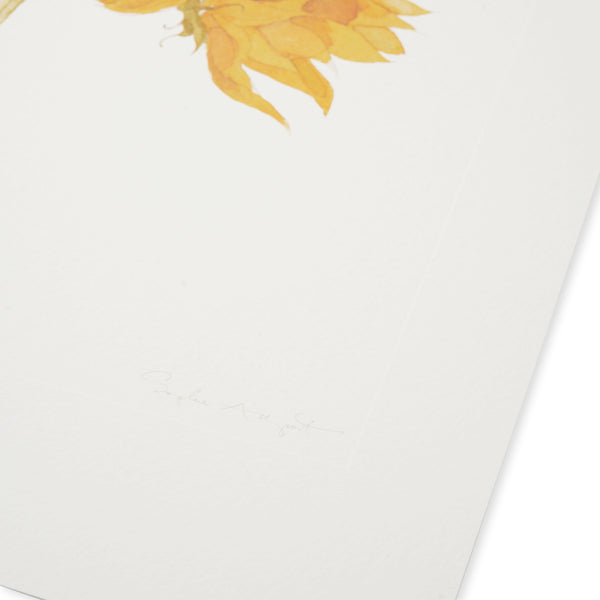 Sophie Allport Archive Sunflower Print