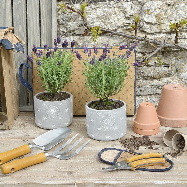 Sophie Allport Bees Secateurs Set