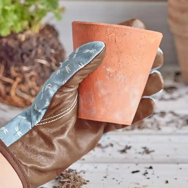 Sophie Allport Dragonfly Gardening Gloves