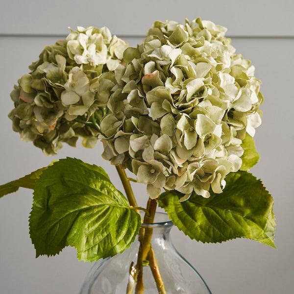 Sophie Allport Faux Dried Green Hydrangea