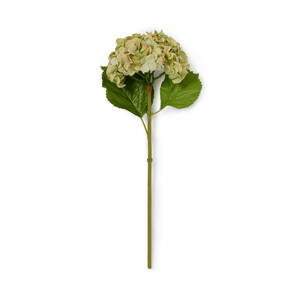 Sophie Allport Faux Dried Green Hydrangea