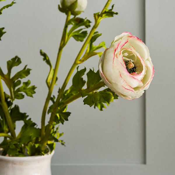 Sophie Allport Faux Green Ranunculus