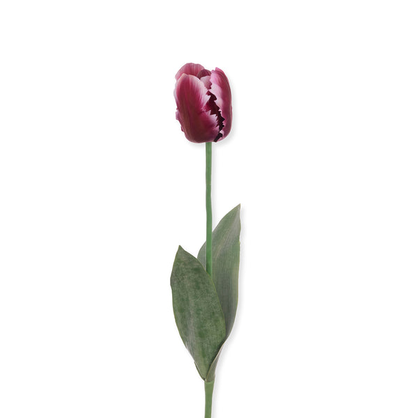 Sophie Allport Faux Parrot Tulip - Purple