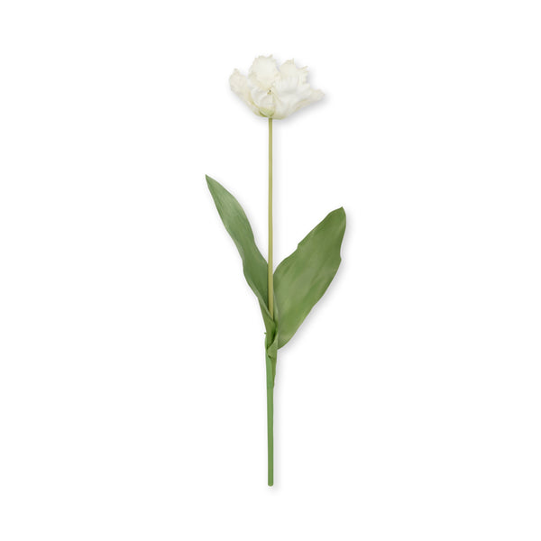 Sophie Allport Faux Parrot Tulip - White