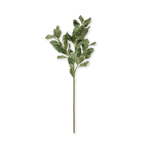 Sophie Allport Faux Pittosporum Leaves - Green