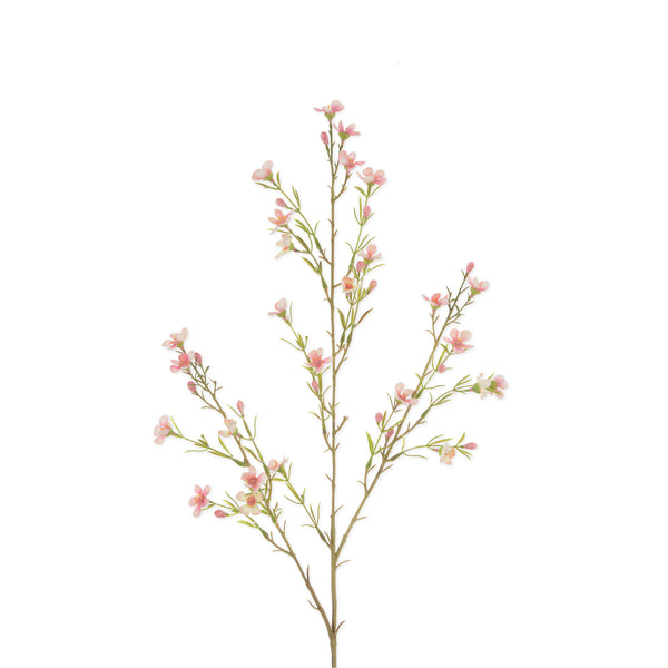 sophie allport Faux Scabiosa