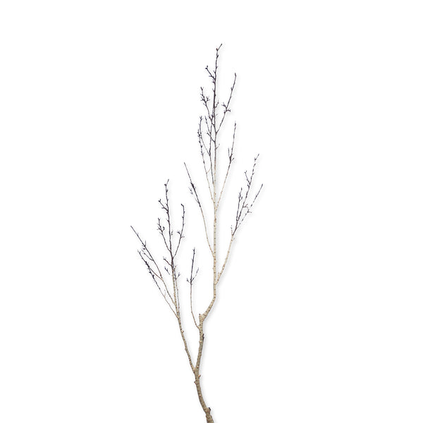 Sophie Allport Faux Silver Birch Branch