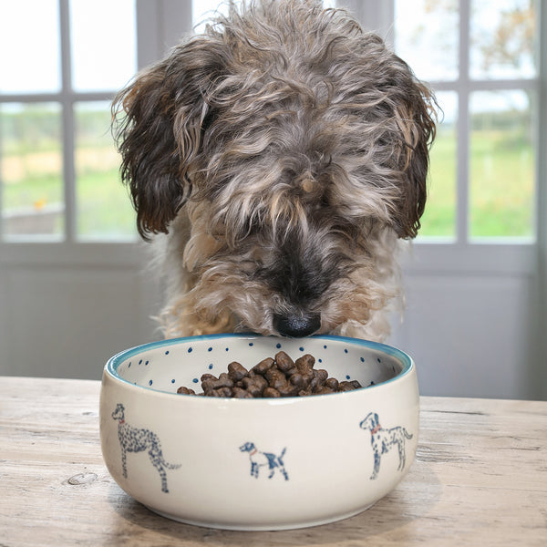 Sophie Allport Fetch Stoneware Dog Bowl