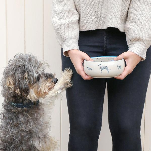 Sophie Allport Fetch Stoneware Dog Bowl