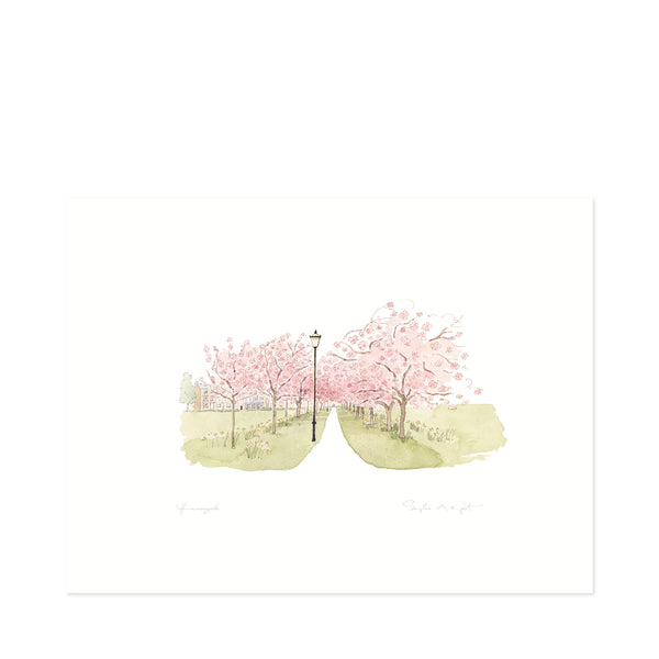 sophie allport Harrogate Blossom Print