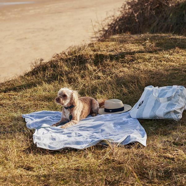 Sophie Allport Lobster Towels