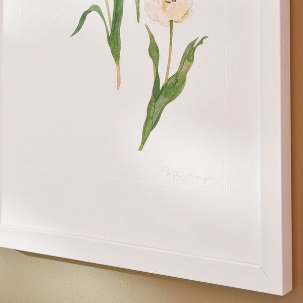 Sophie Allport Multi Tulips Print