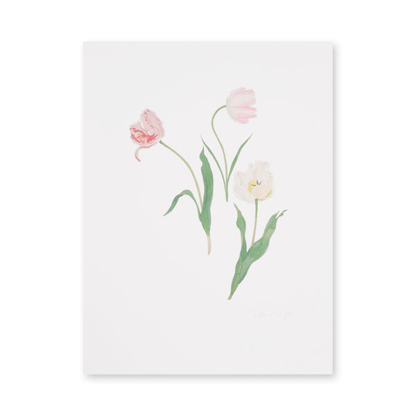 Sophie Allport Multi Tulips Print