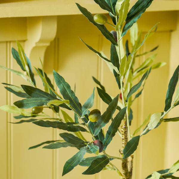 Sophie Allport Olive Tree
