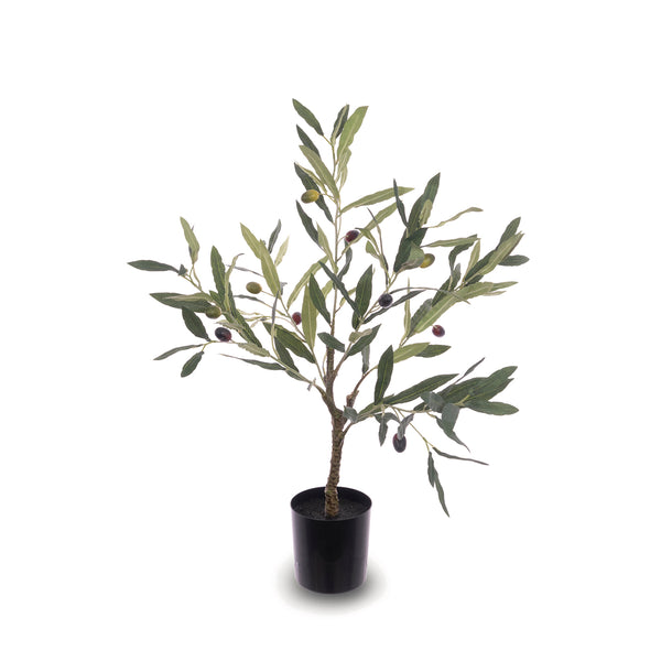 Sophie Allport Olive Tree