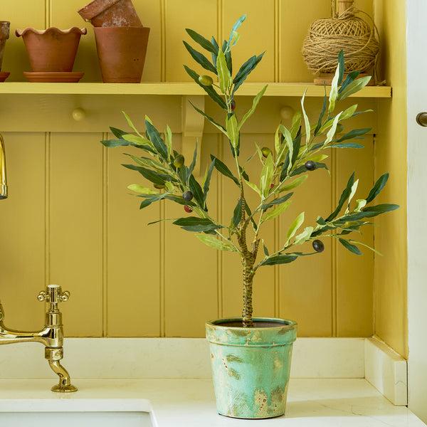 Sophie Allport Olive Tree