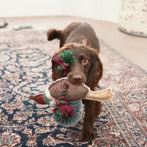 Sophie Allport Pheasant Dog Toy