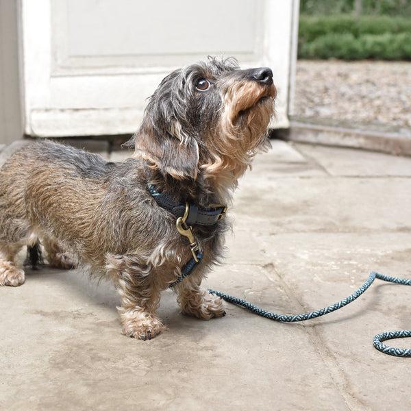 Sophie Allport Teal Rope Collar